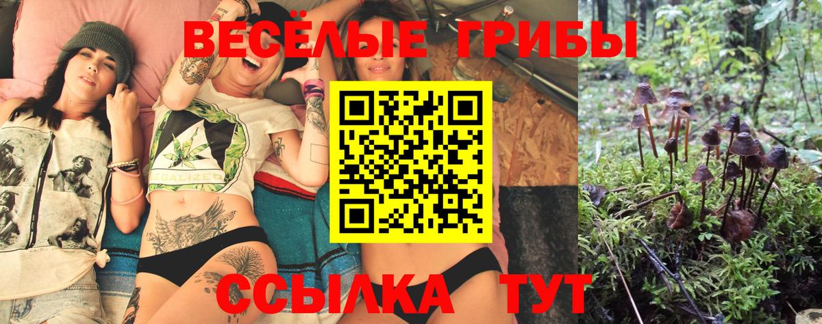 Галлюциногенные грибы MAGIC MUSHROOMS  где найти наркотики  Саянск  Псилоцибиновые грибы мухоморы  Вход с VPN 